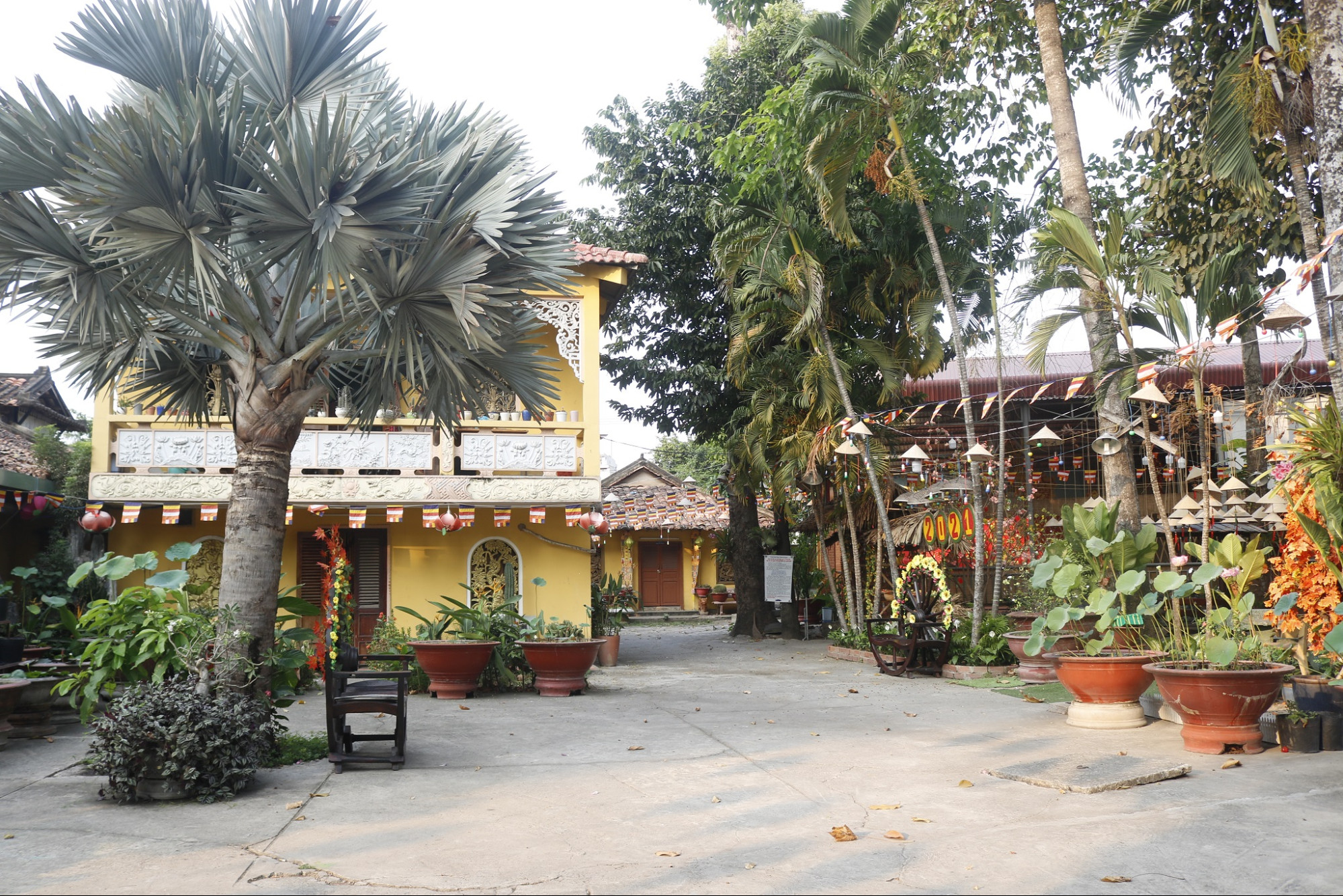 Ánh sáng đèn lồng tạo nên không gian an lành và tĩnh lặng tại chùa Phước Tường