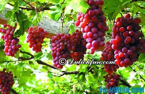 Những món ăn ngon, đặc sản Ninh Thuận kèm địa chỉ ngon rẻ